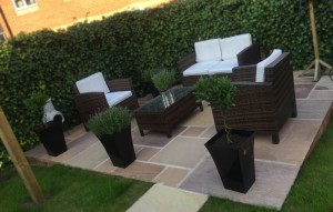 Patio Cleaning