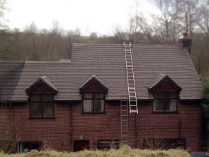 Roofman professional roof cleaning service.