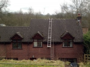 Roofman professional roof cleaning service.