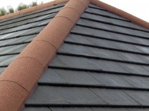 Roofman professional roof cleaning service.