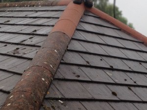 Roofman professional roof cleaning service.