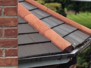 Roofman professional roof cleaning service.