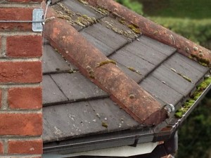 Roofman professional roof cleaning service.