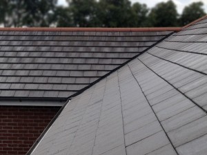 Roofman professional roof cleaning service.