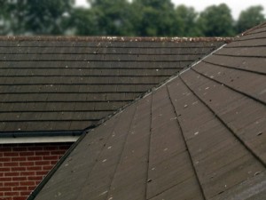 Roofman professional roof cleaning service.