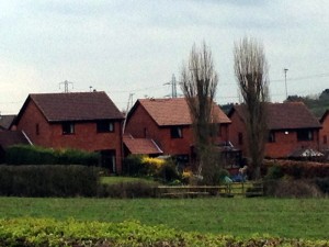 Roofman professional roof cleaning service.