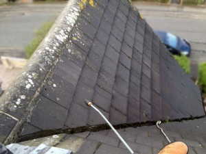 Roof Cleaning