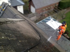 Roof Cleaning