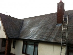Roof Cleaning