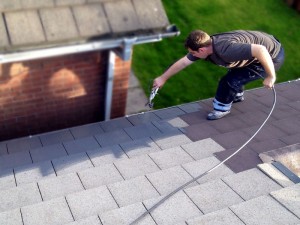 Roofman professional roof painting service.
