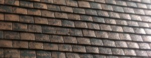 Professional roof painting services from Roofman.