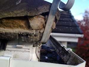 Roofman professional roof repair service.