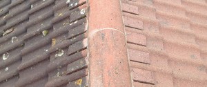 Professional roof cleaning services by Roofman.