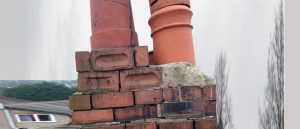 Roofman professional roof cleaning service.