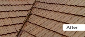 Example of a roof after receiving the Roofman fungicidal treatment.