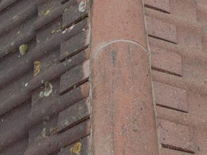 Professional roof cleaning services by Roofman.